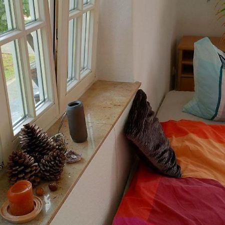 Forrest Apartments In Freiberg Min Stay 2 Nights Max Number Of Guest 1 Aprt 1 Exteriör bild