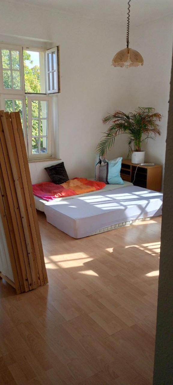 Forrest Apartments In Freiberg Min Stay 2 Nights Max Number Of Guest 1 Aprt 1 Exteriör bild
