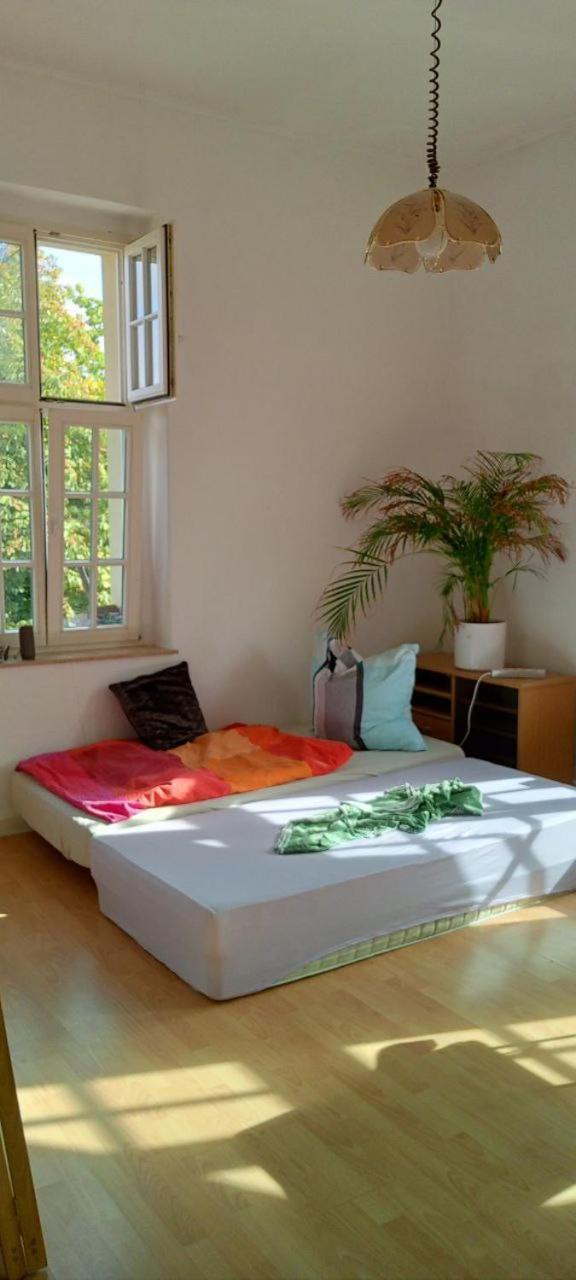 Forrest Apartments In Freiberg Min Stay 2 Nights Max Number Of Guest 1 Aprt 1 Exteriör bild