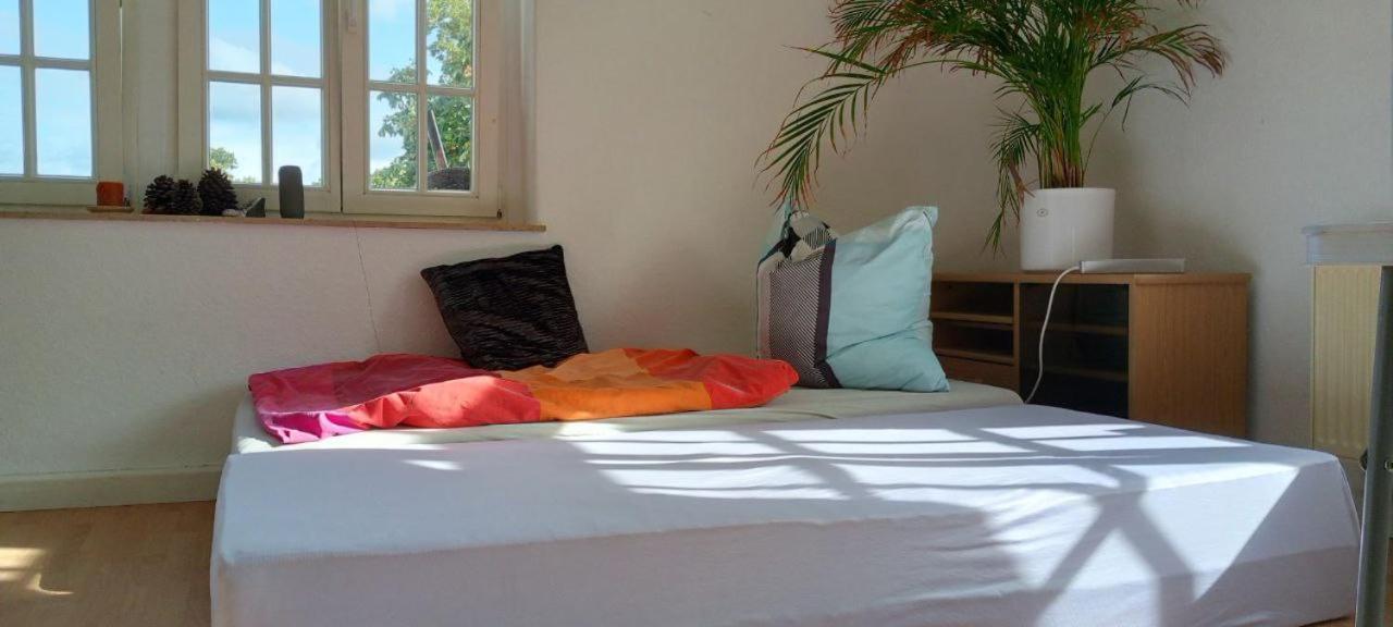 Forrest Apartments In Freiberg Min Stay 2 Nights Max Number Of Guest 1 Aprt 1 Exteriör bild