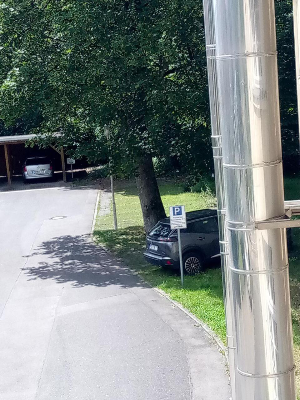 Forrest Apartments In Freiberg Min Stay 2 Nights Max Number Of Guest 1 Aprt 1 Exteriör bild